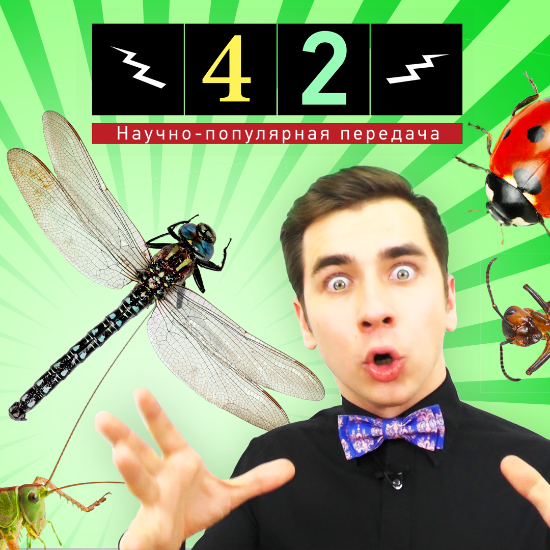 физика,биология,насекомые,животные,размеры насекомых,дыхание,экзоскелет, Почему все насекомые маленькие?